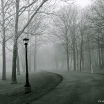 lamp and road - paleospirit.com