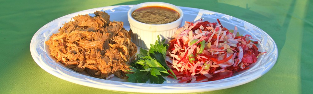 Paleo Pulled Pork with Coleslaw