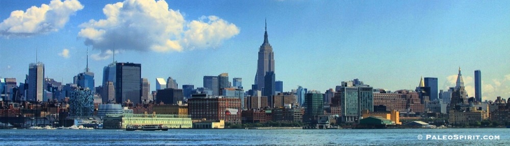 New York skyline2
