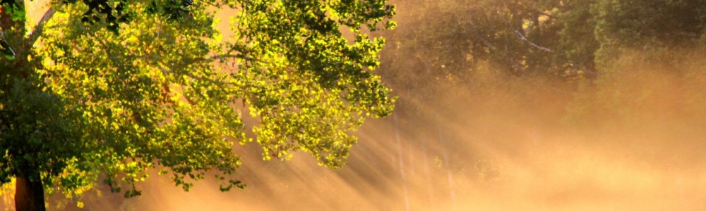natirar sun