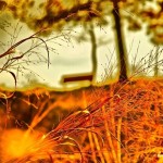 Autum poet