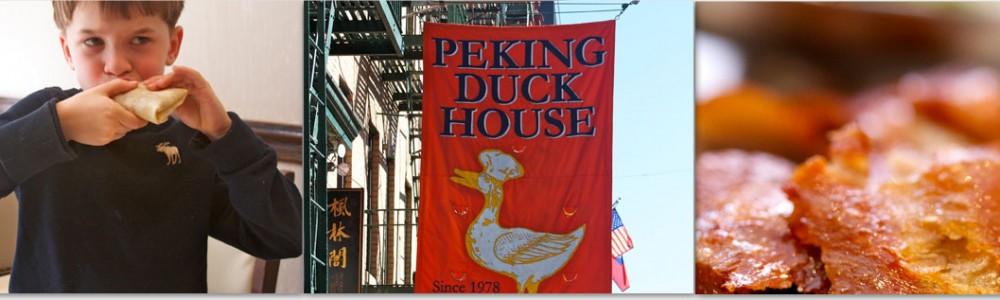 duck house header
