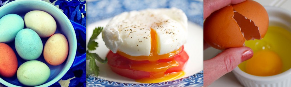 poached eggs header