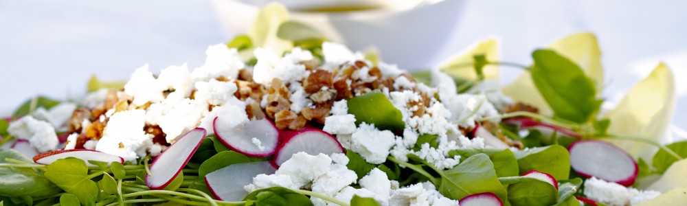Endive Salad with dressing