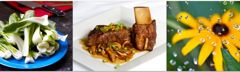 short ribs header