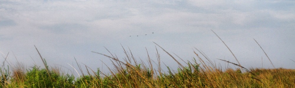photo (2)
