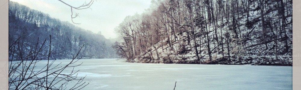 Frozen Lake