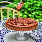 paleo primal chocolate cheesecake