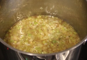 chicken broth with leeks