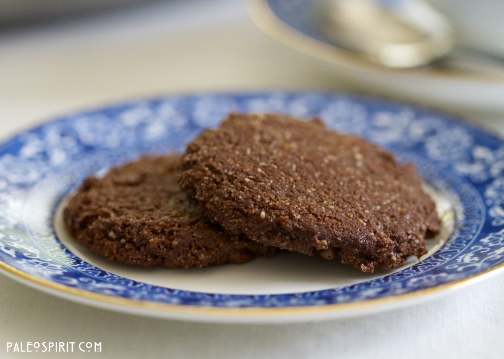 Paleo Mocha Chocolate Chip Cookies