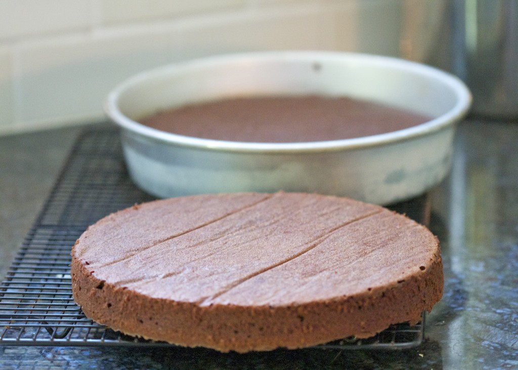 9 inch paleo chocolate cake layers