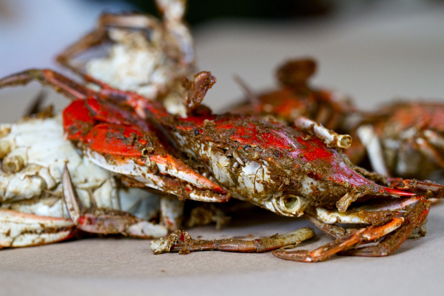 Paleo in Maryland: Steamed Crabs