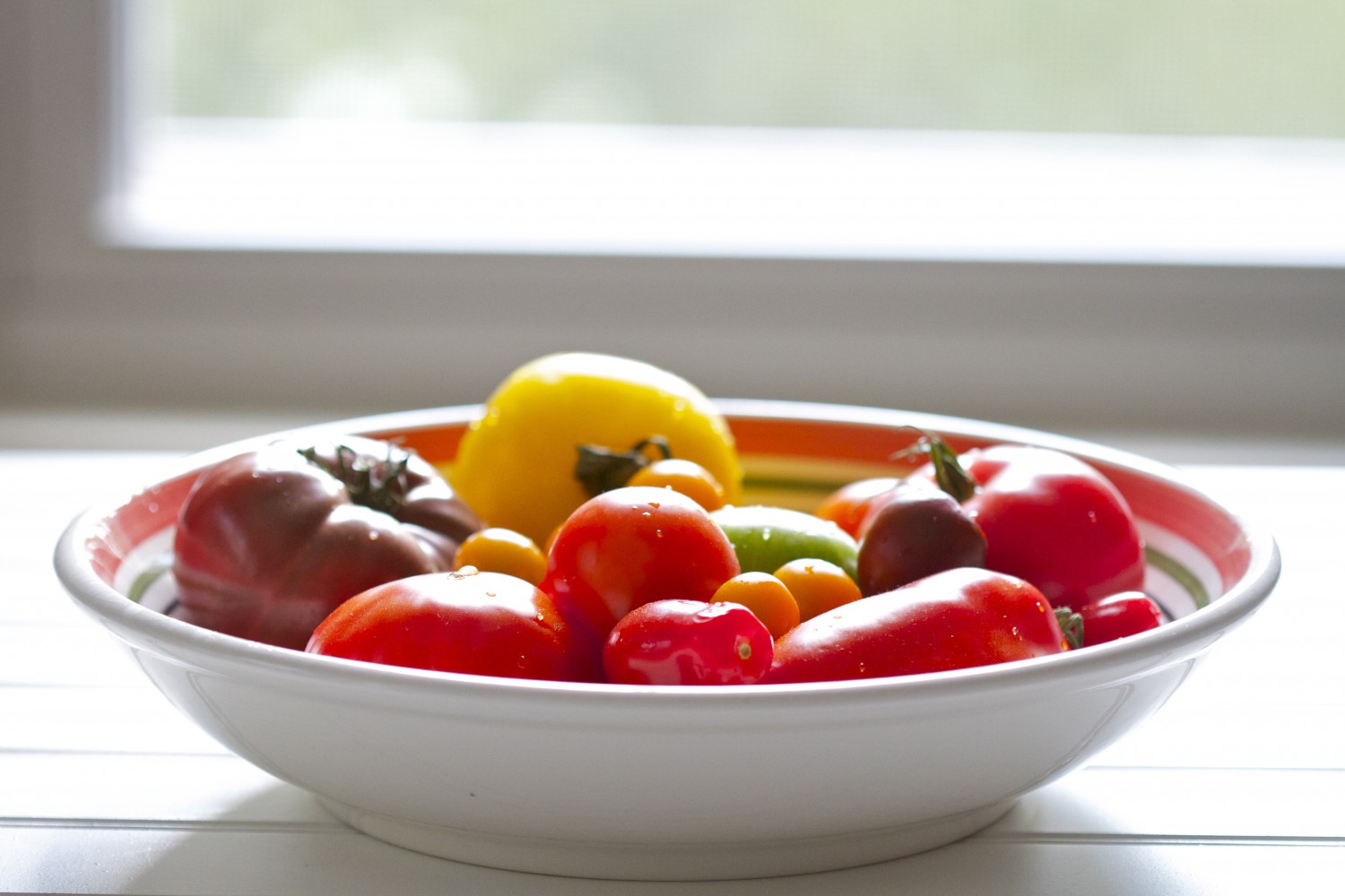 heirloom tomatoes by window