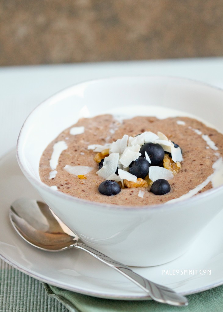 paleo breakfast porridge