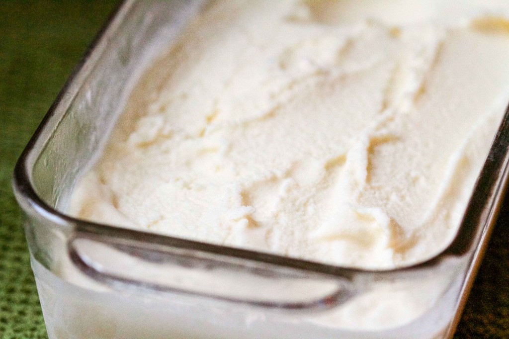 Honey Yogurt Gelato | Paleo Spirit