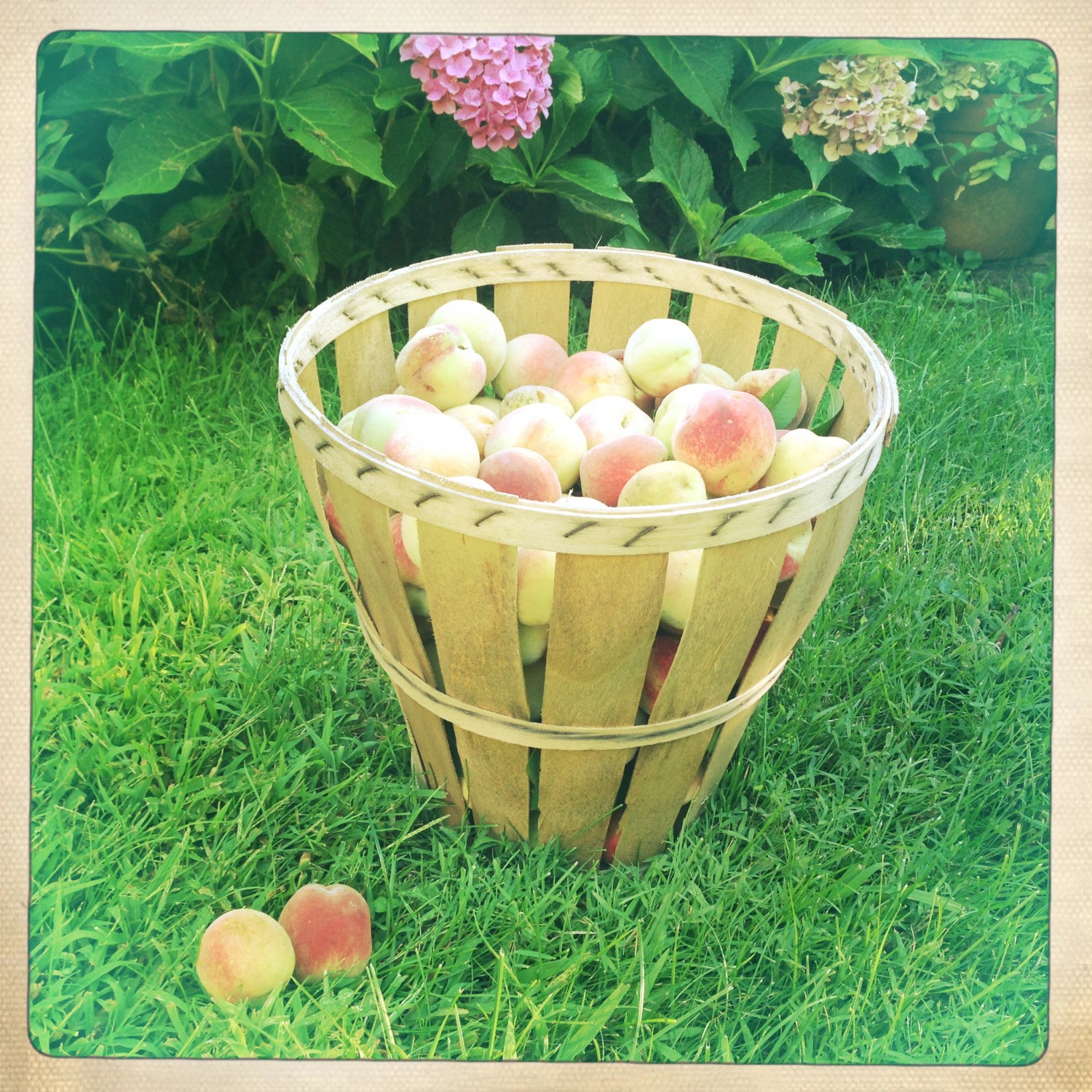 instagram peaches 2 Paleo Spirit