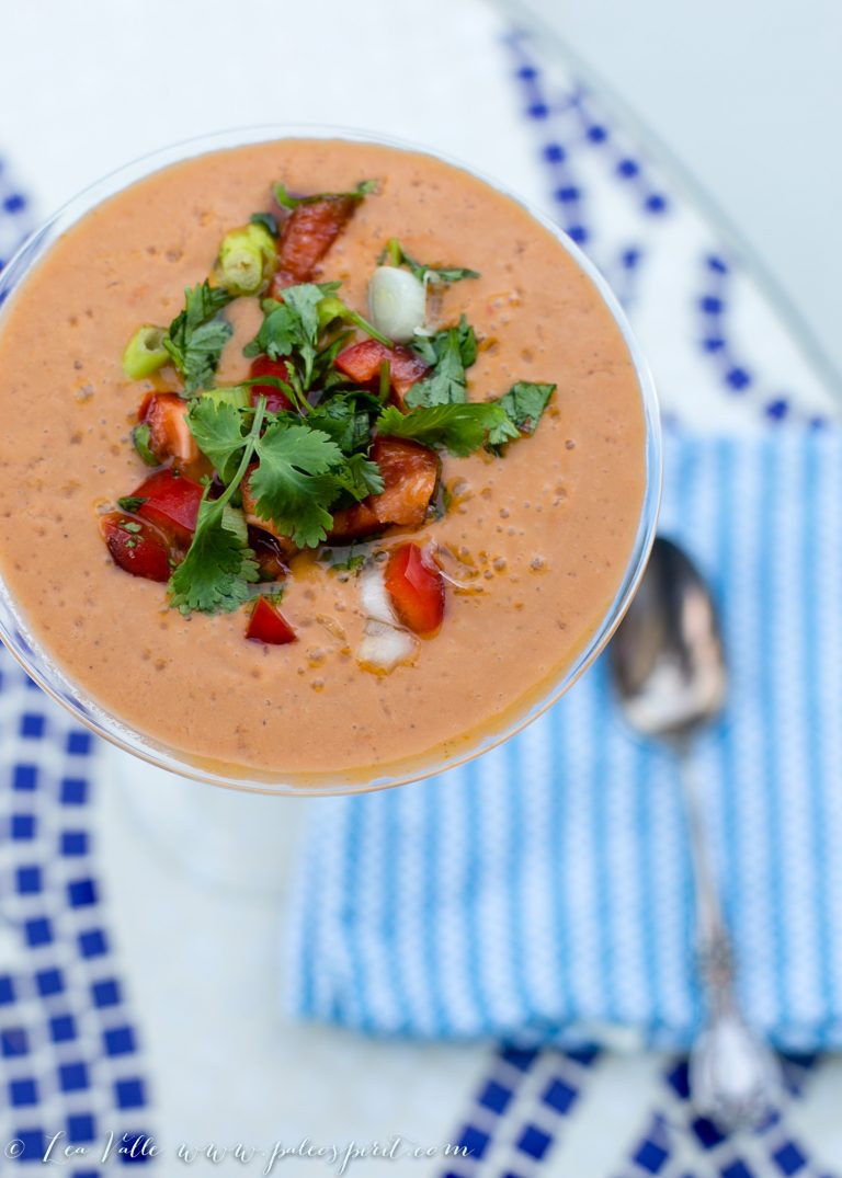 Spicy Watermelon Gazpacho Vegan and Paleo Paleo Spirit
